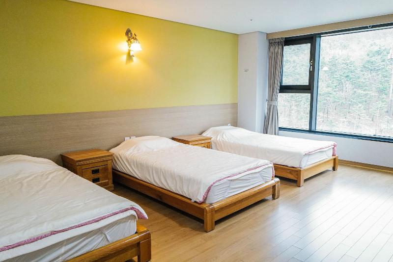 Sancheong Korean Medicine Family Hotel image