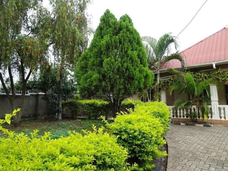 Blue Agama Guesthouse — main photo