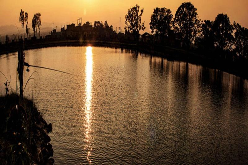 Regal Hetauda Resort Pvt. Ltd. — main photo