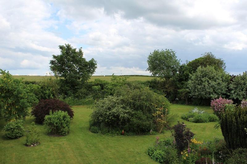 The Vine B & B image
