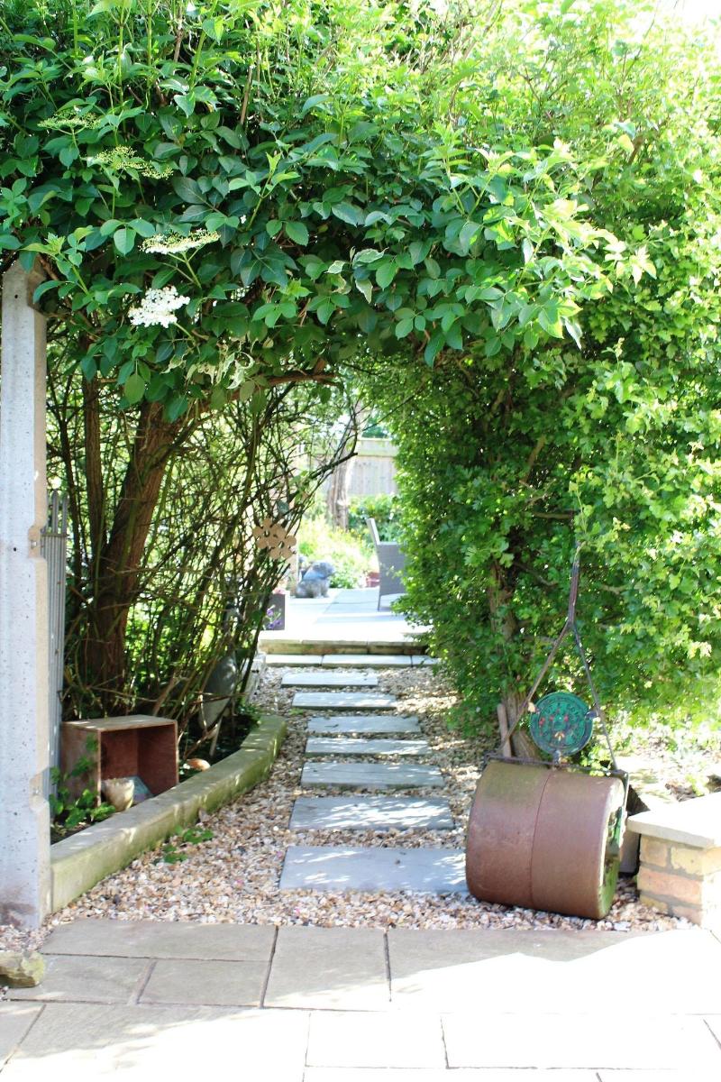 The Vine B & B image