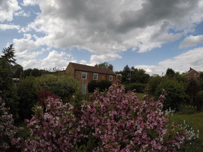 The Vine B & B image