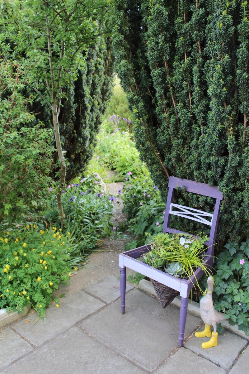The Vine B & B image