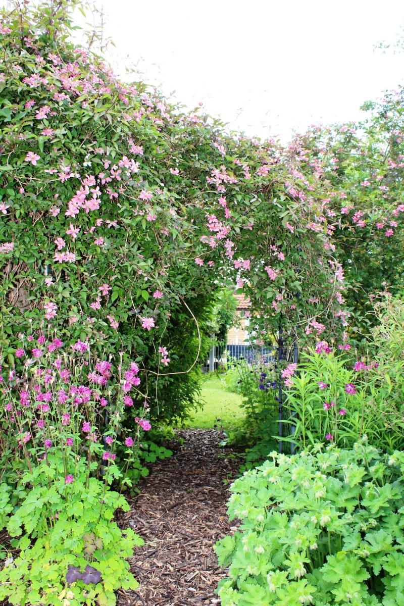 The Vine B & B image
