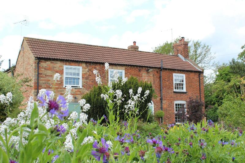 The Vine B & B image