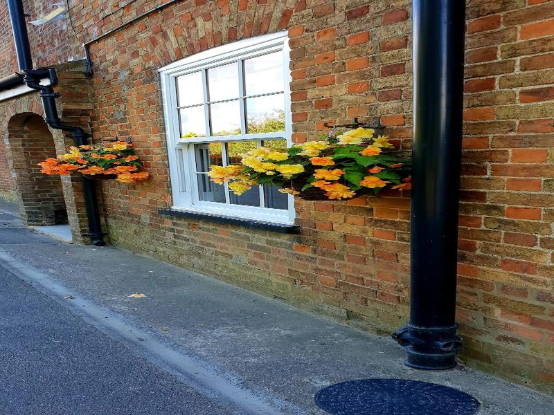 The Vine B & B image