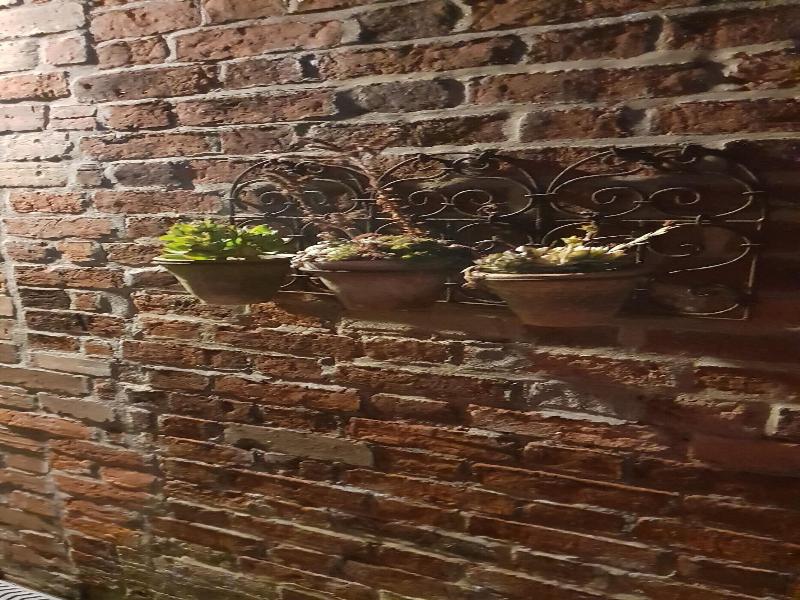 The Vine B & B image