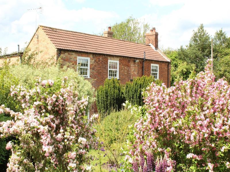 The Vine B & B image