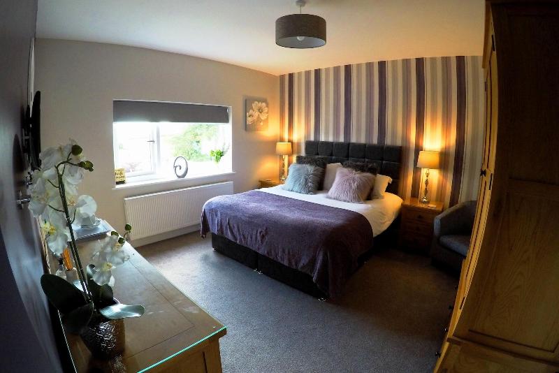 The Vine B & B image