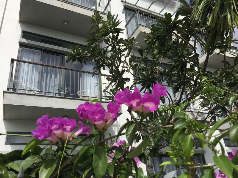 Hoian Tranquil Lodge - Chon Binh Yen image