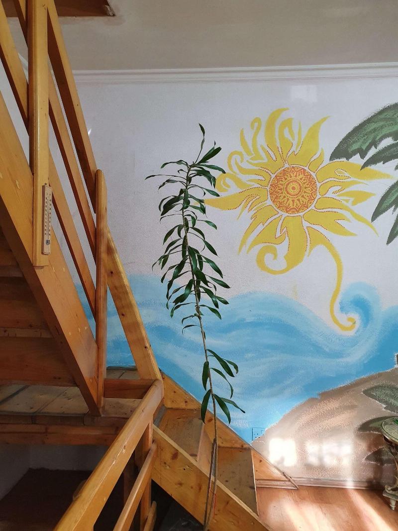 Kings and Queens Hostel Baku — photo 4