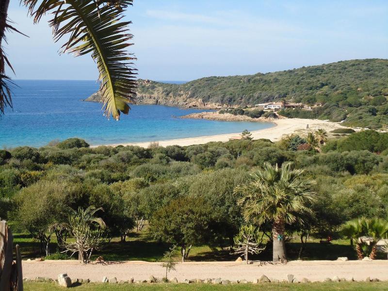 Marina D'arone image