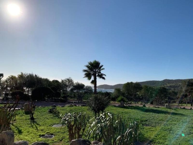Marina D'arone image