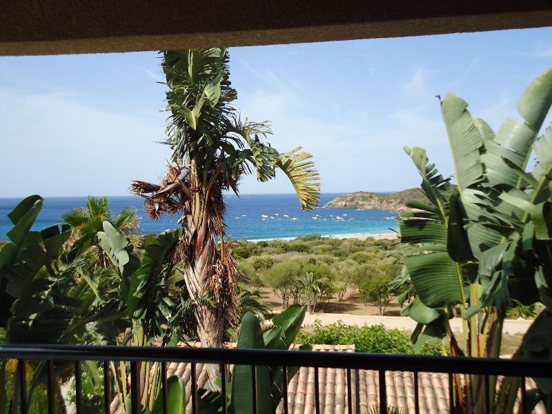 Marina D'arone image