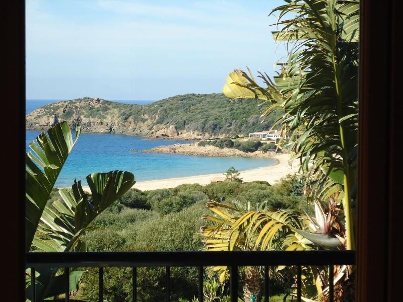 Marina D'arone image