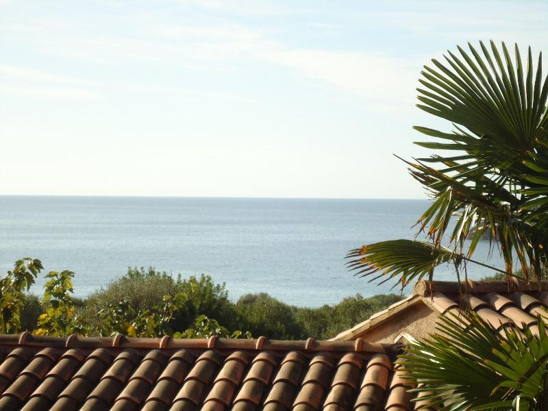 Marina D'arone image