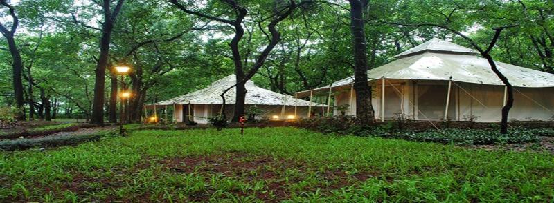 The Farm House India — photo 4