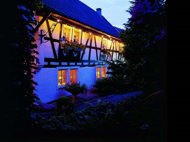 Landgasthof Alte BergmÃ¼hle image