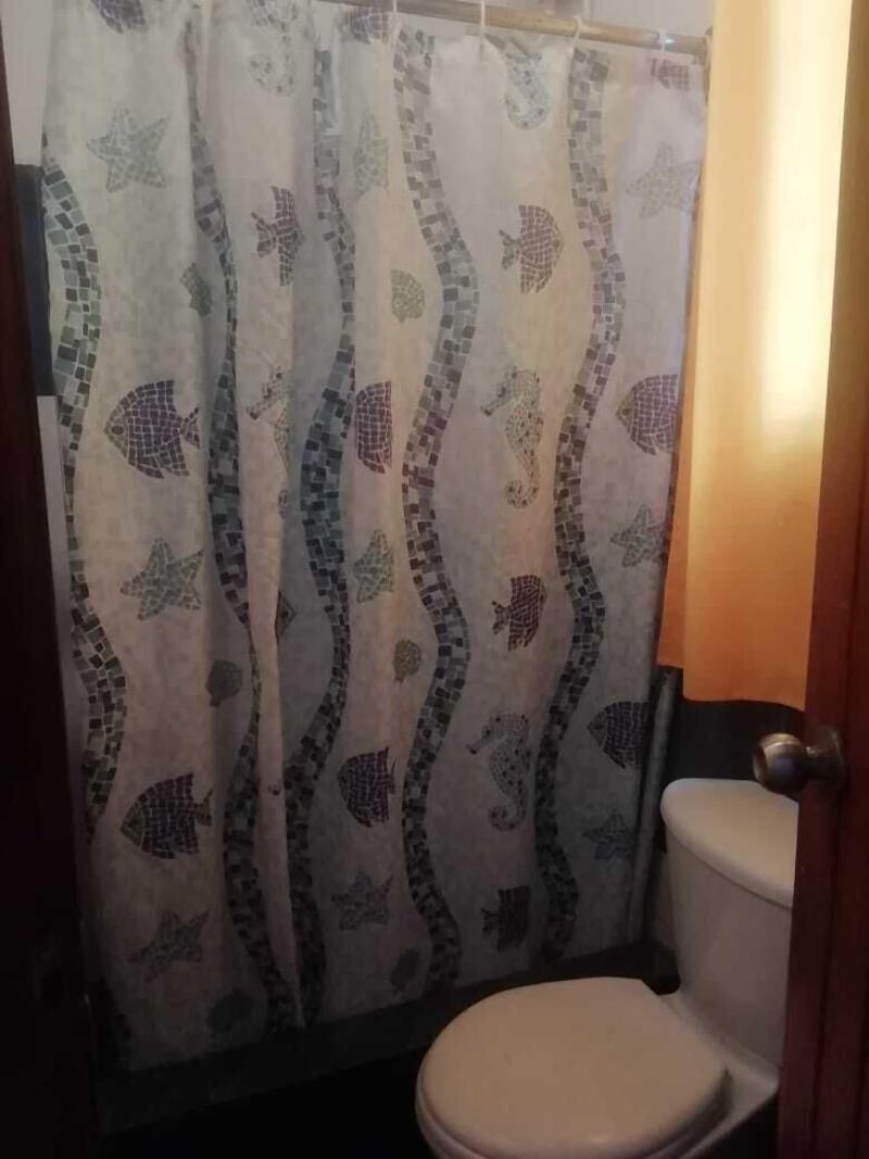 Hotel Cocos image