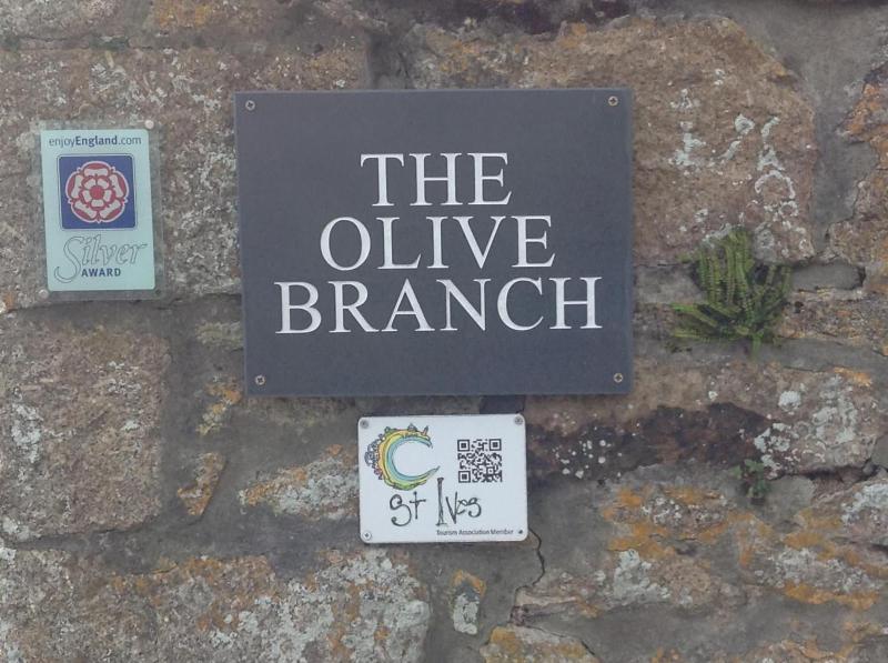 The Olive Branch — main photo