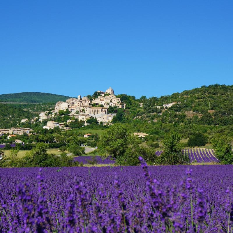 La Buisse image