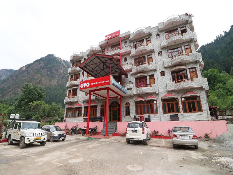 30229 Blue Diamond — main photo