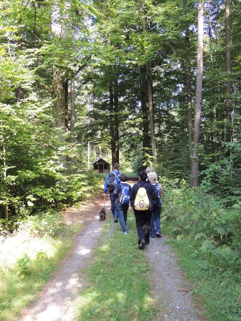 Pension Buergerhaus Zum Paradies image