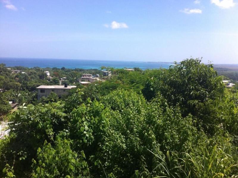 Solet's Paradise Negril — photo 3
