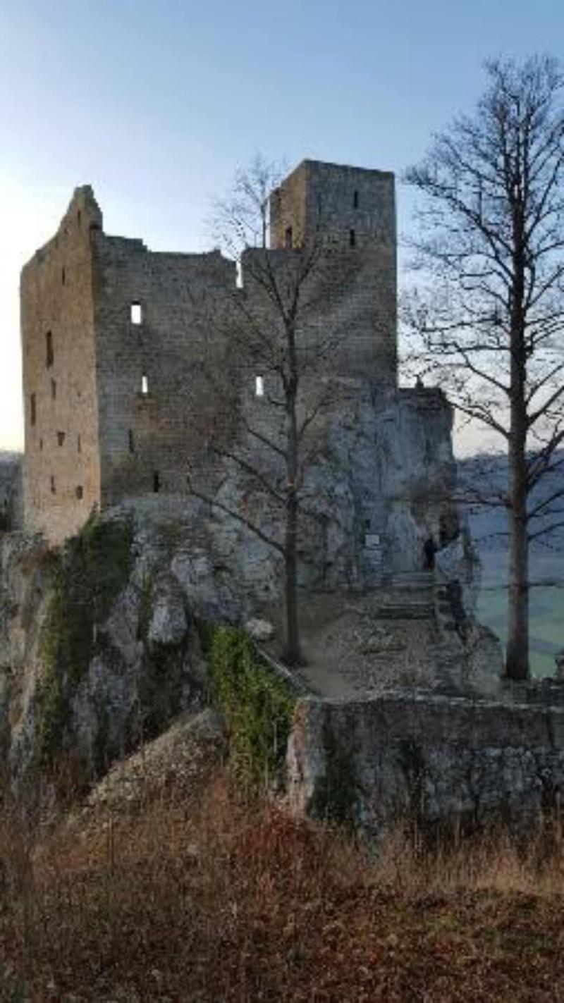 Roomingtons Alb Laichingen image