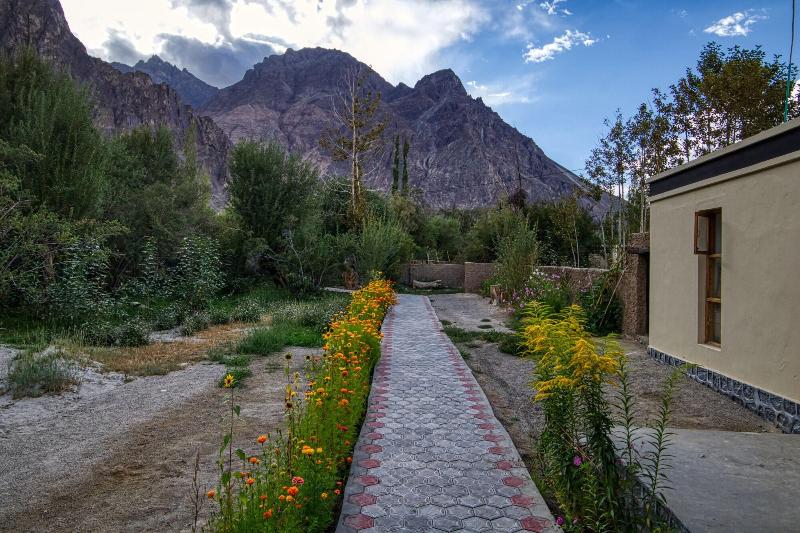 Chalet Seabuckthorn