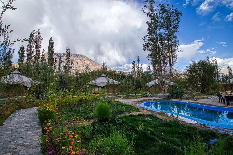 Chalet Seabuckthorn