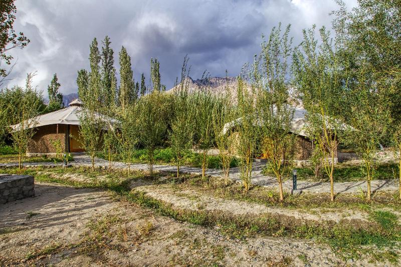Chalet Seabuckthorn