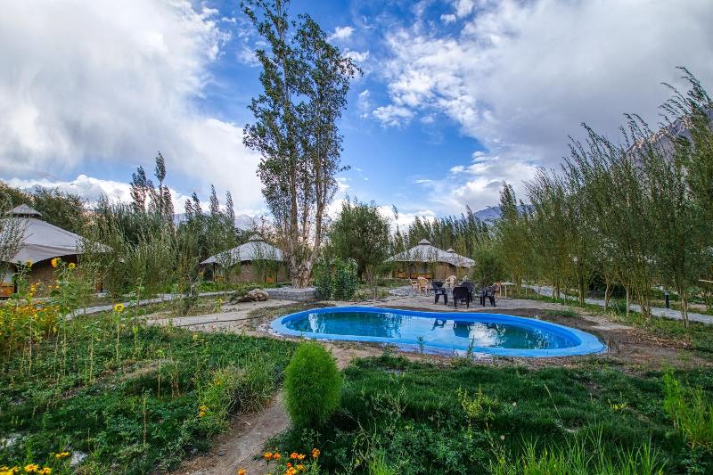 Chalet Seabuckthorn