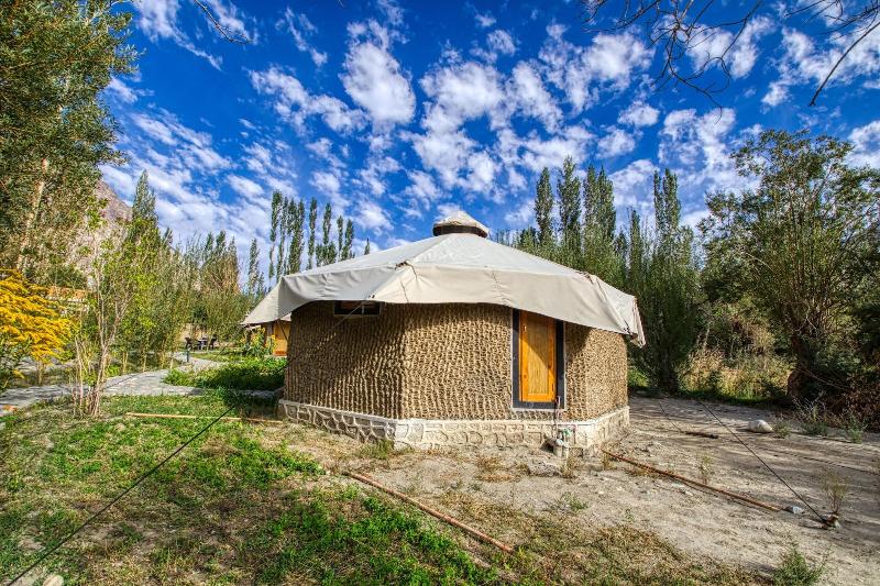 Chalet Seabuckthorn