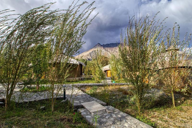 Chalet Seabuckthorn