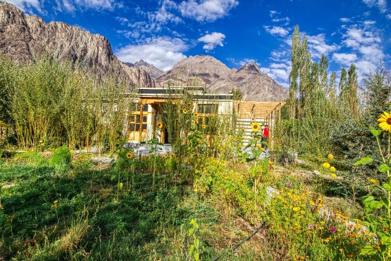 Chalet Seabuckthorn