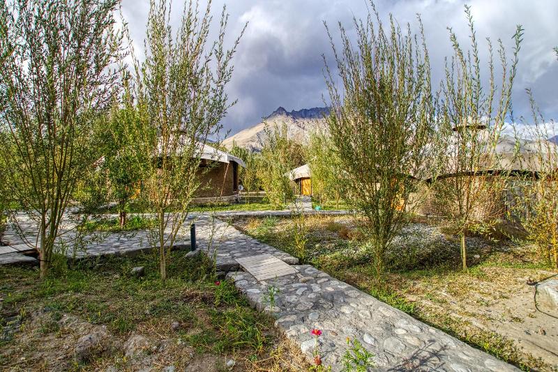 Chalet Seabuckthorn