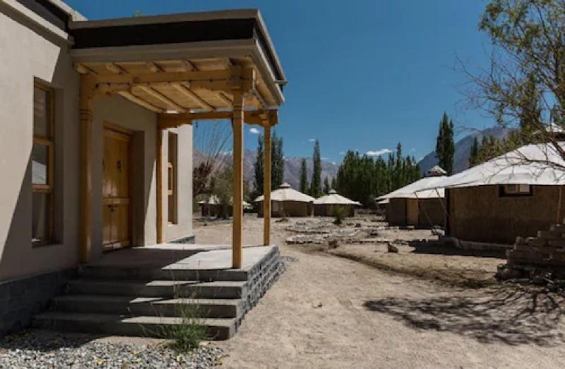 Chalet Seabuckthorn