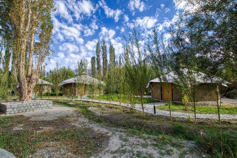 Chalet Seabuckthorn