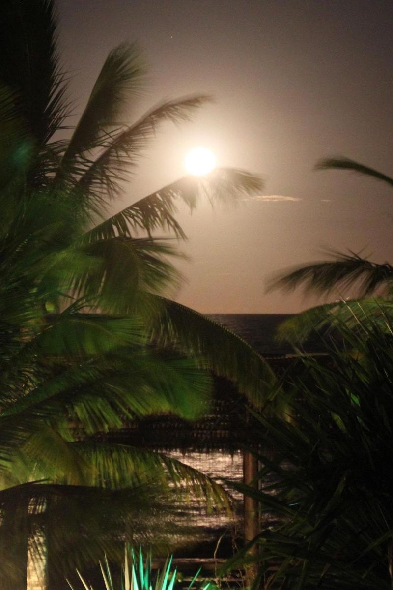 Ouro Sobre Azul Apart Hotel image