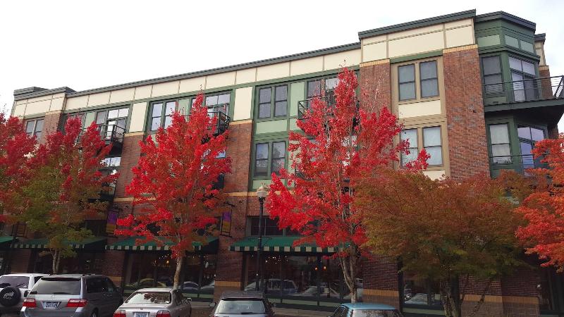 Orenco Lofts image
