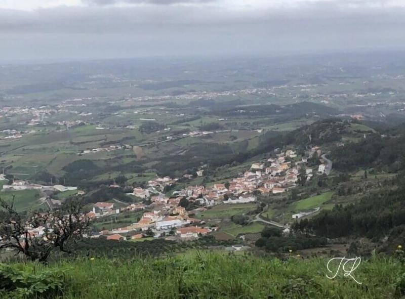 Terra Luso image