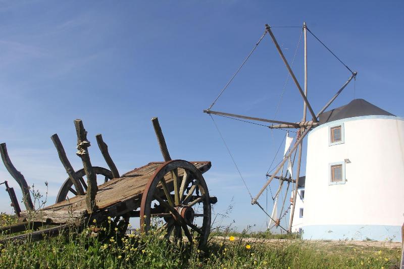 Terra Luso image