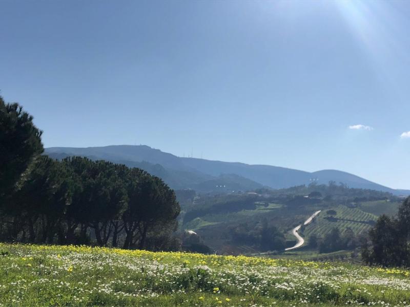 Terra Luso image