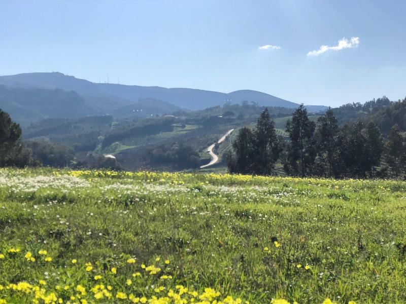 Terra Luso image