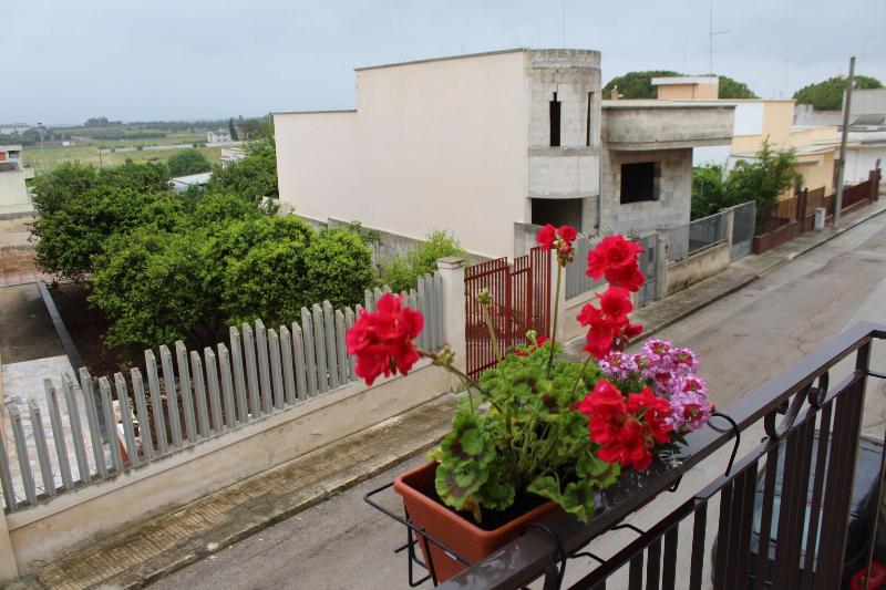 Il Sole di Puglia Bed & Breakfast — main photo