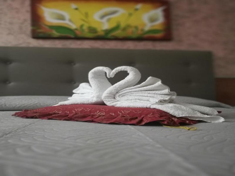 B&B Belvedere image
