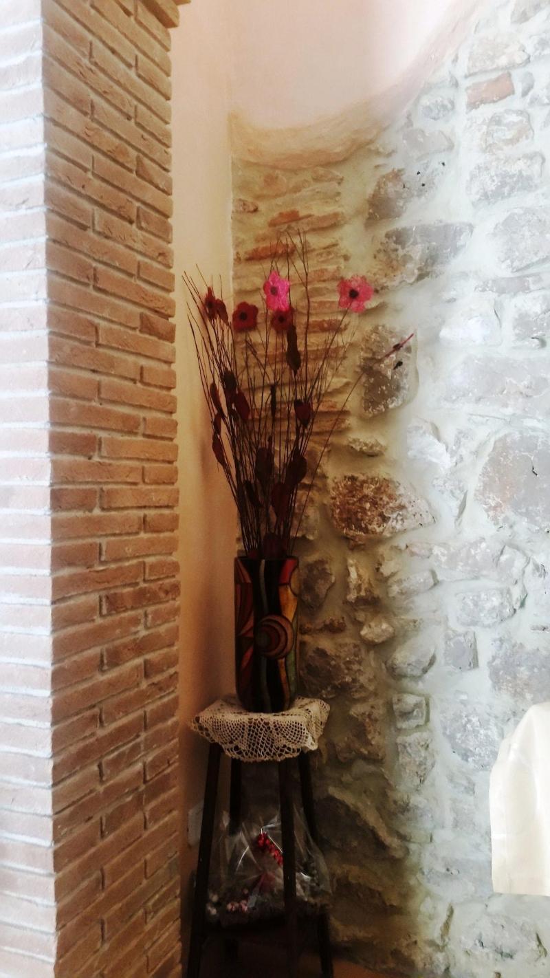 Camere Primavera B&B image