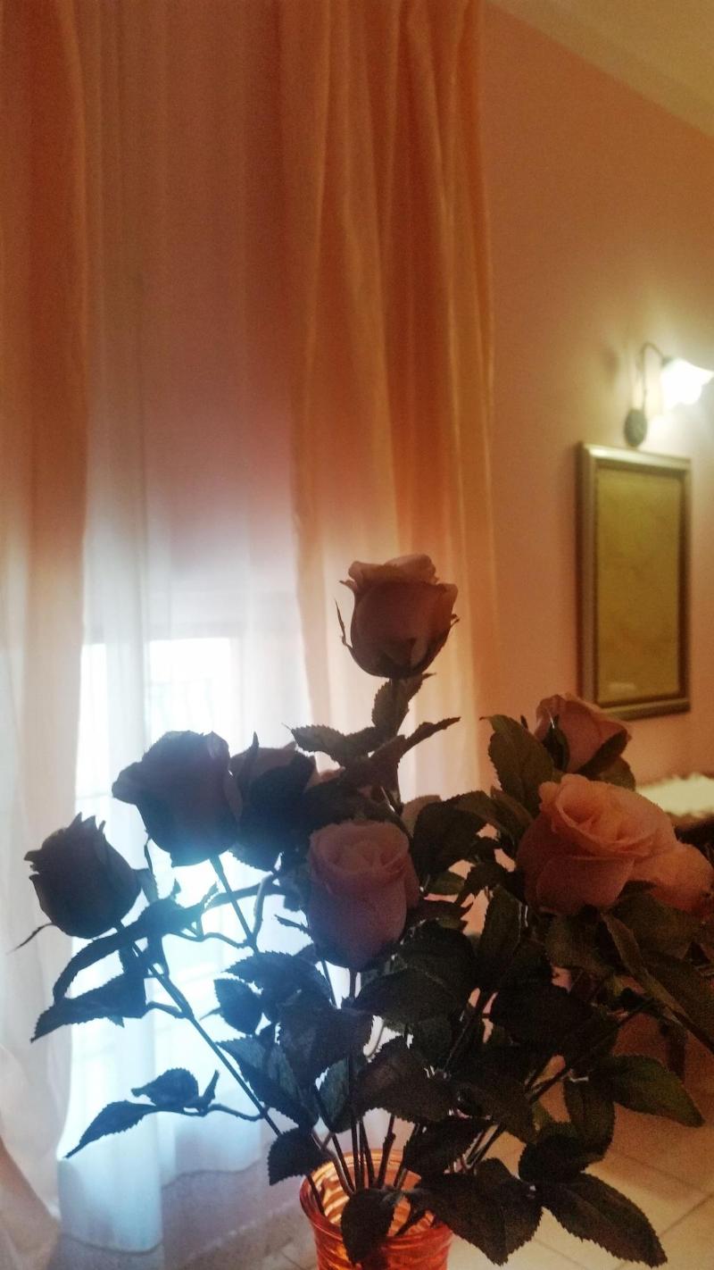 Camere Primavera B&B image