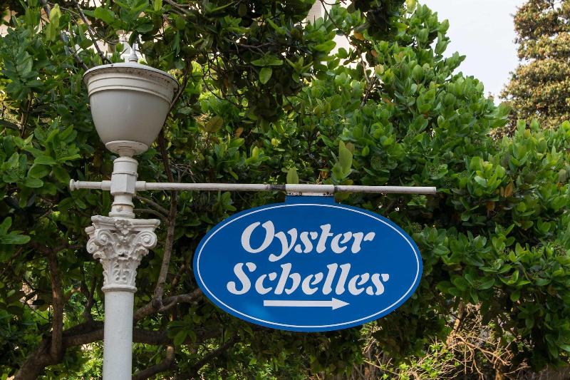 302 Oyster Schelles image